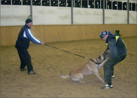 Training in Finland 12/2007